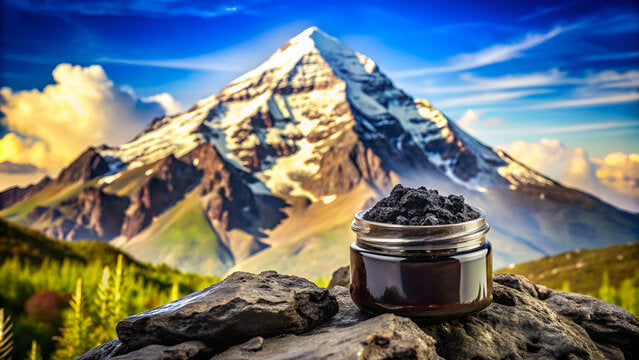 Explore Shilajit Resin in Australia Elevate Your Wellness Naturally