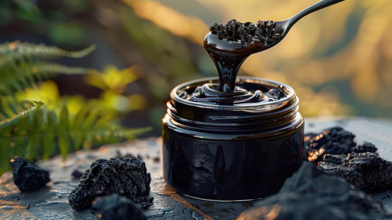 Experience the Natural Advantages of Pure Shilajit Right Now!